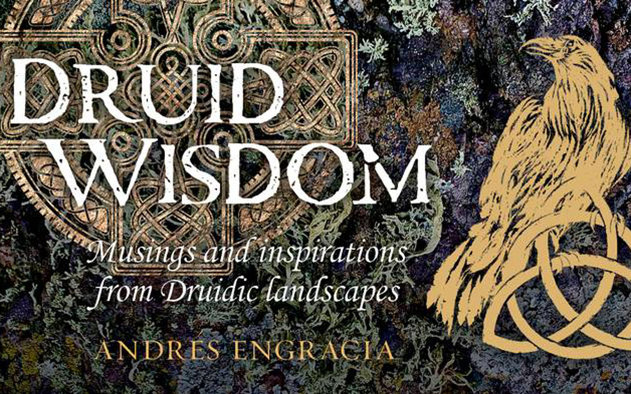 Druid Wisdom